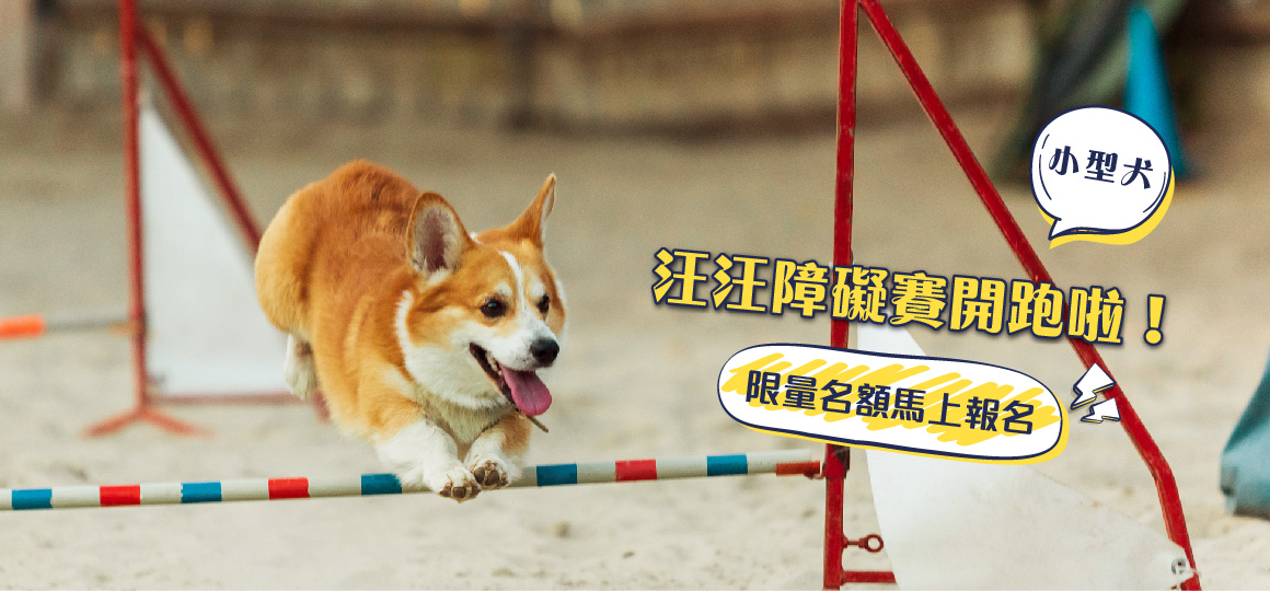 小型犬 障礙賽banner_1160x540