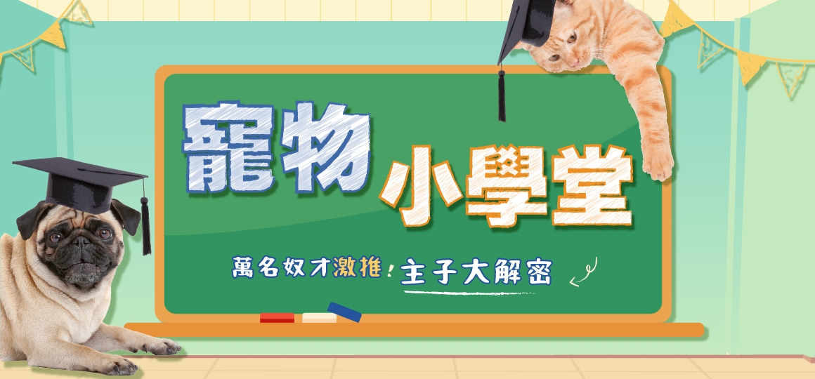 小學堂無檔期_1160x540